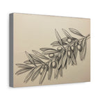 Olive Branch Matte Canvas Wall Art — Botanical Kitchen Decor