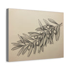 Olive Branch Matte Canvas Wall Art — Botanical Kitchen Decor