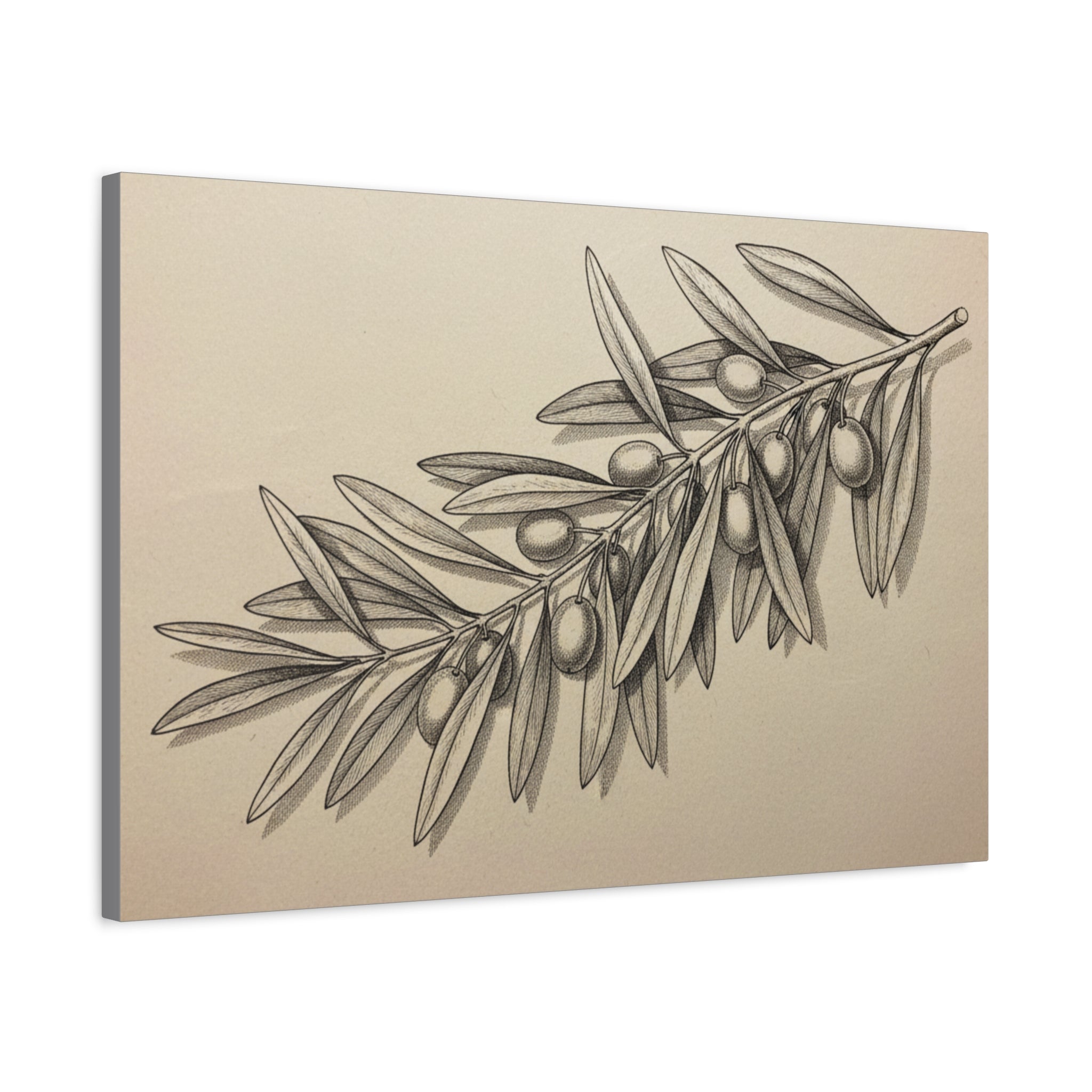 Olive Branch Matte Canvas Wall Art — Botanical Kitchen Decor
