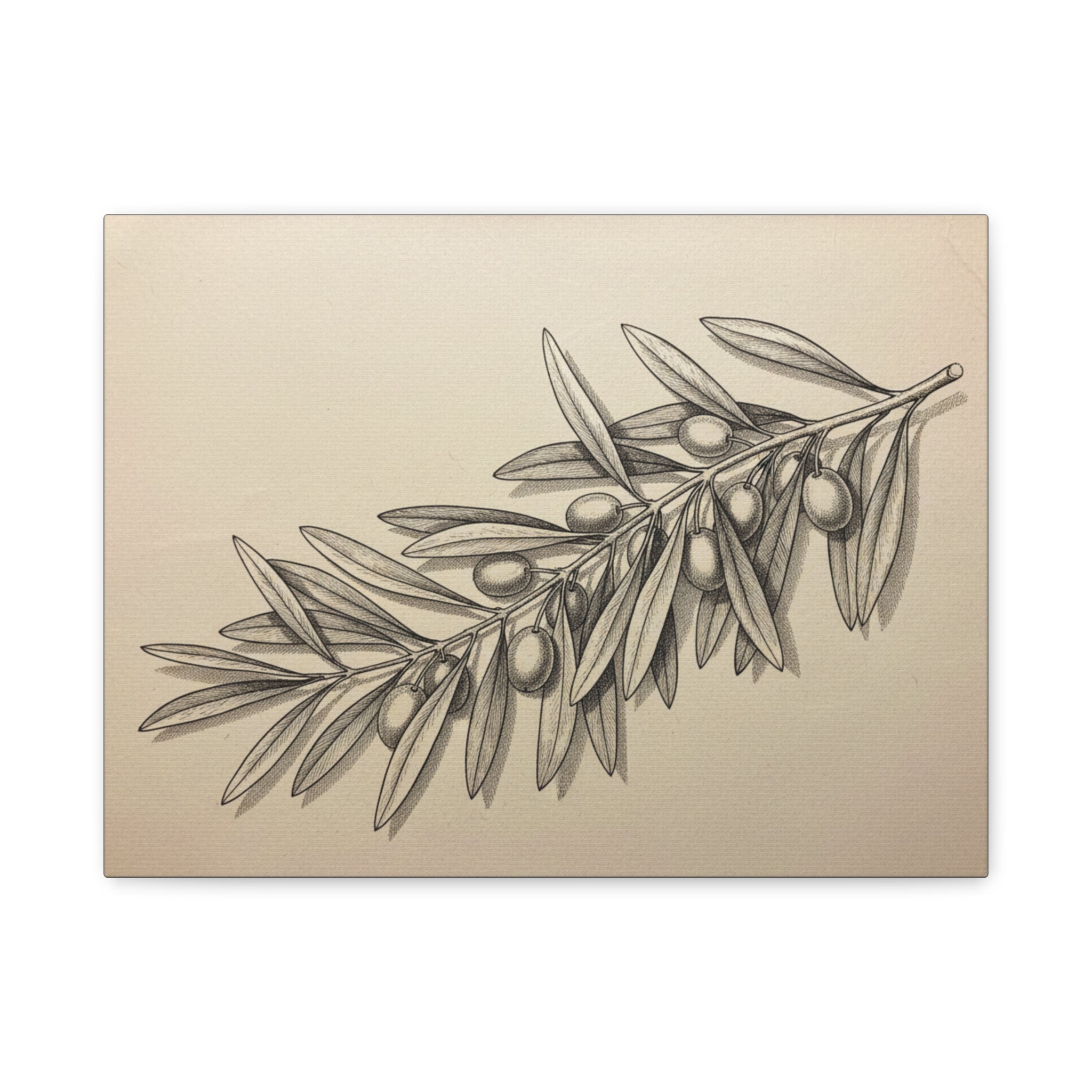 Olive Branch Matte Canvas Wall Art — Botanical Kitchen Decor