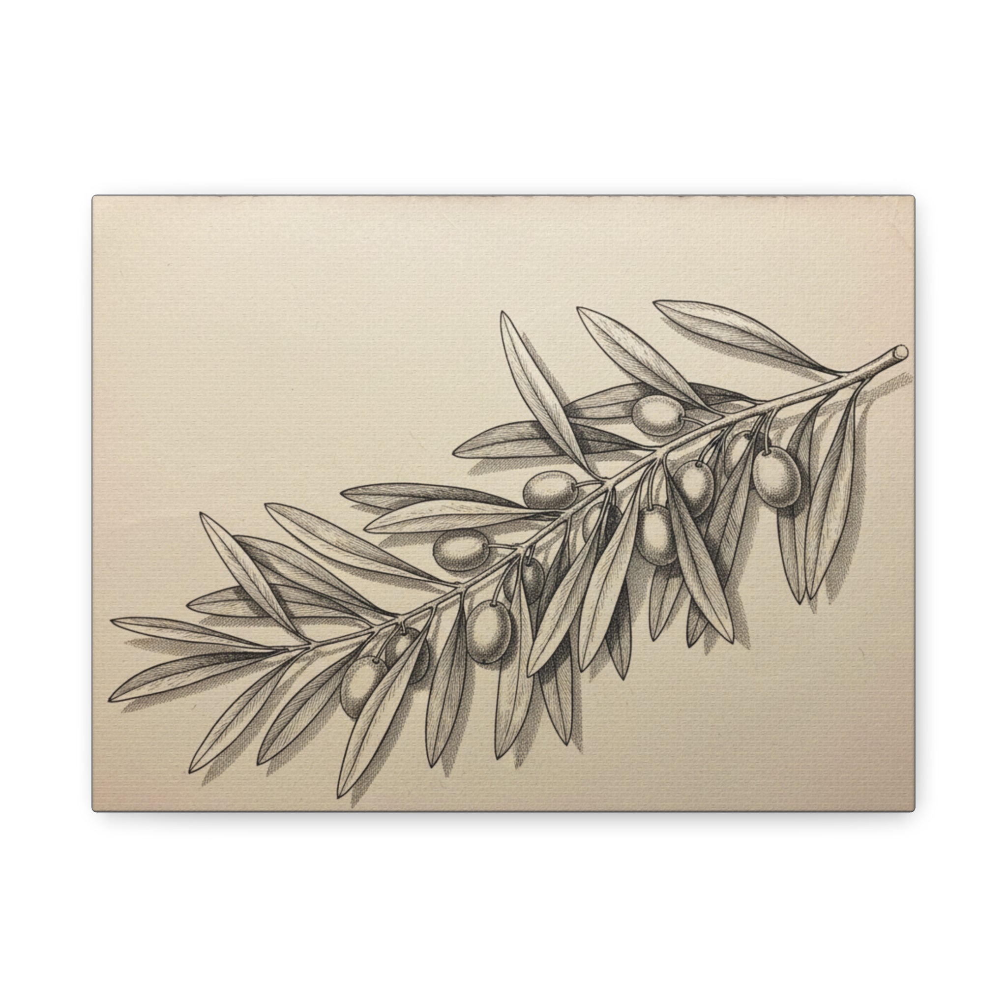 Olive Branch Matte Canvas Wall Art — Botanical Kitchen Decor